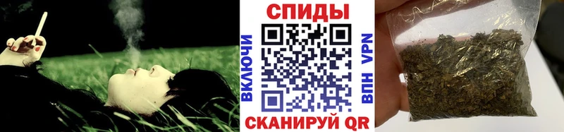 kraken рабочий сайт  Жердевка  Бутират буратино 