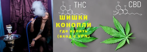стафф Абаза