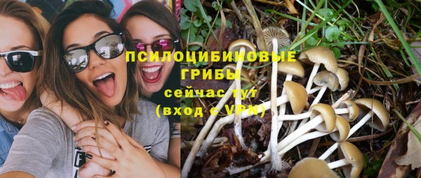 амф Алзамай