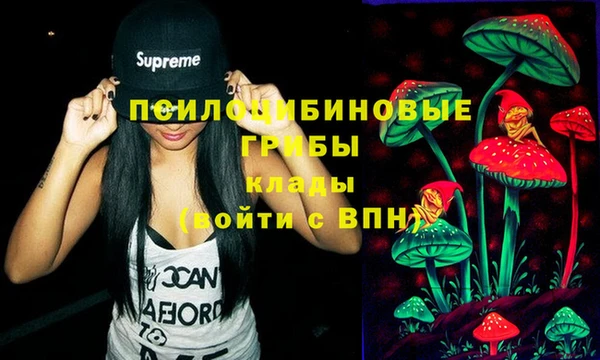 стафф Абаза